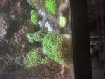 IMG_2748.jpeg