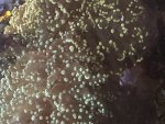 IMG_2751.jpeg