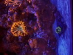 IMG_2330.jpeg