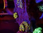 IMG_2325.jpeg