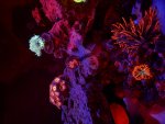 IMG_2323.jpeg