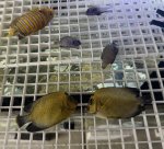 IMG_1683.jpeg