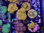 IMG_4045.jpeg