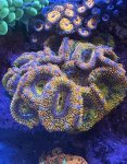 IMG_6939.jpeg