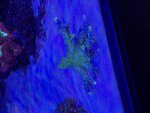 IMG_6935.jpeg