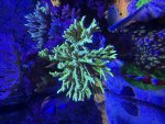 IMG_6934.jpeg