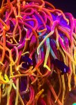 IMG_0096.jpeg