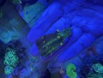 IMG_8529.jpeg