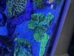 IMG_8530.jpeg