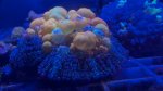 IMG_2925.jpeg