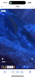 IMG_1811.png