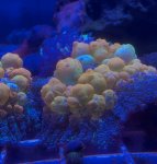 IMG_2946.jpeg