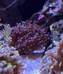 IMG_9165.jpeg