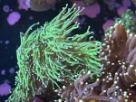 IMG_9216.jpeg