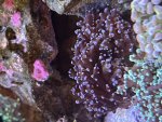 IMG_9208.jpeg