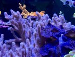 IMG_1030.jpeg