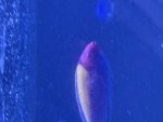 IMG_0263.jpeg