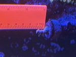 IMG_2044.jpeg