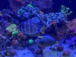 IMG_0748.jpeg IMG_0748.jpeg