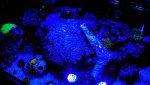 IMG_1190.jpeg