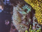 IMG_0041.jpeg