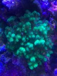 IMG_3407.jpeg