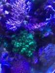 IMG_3409.jpeg