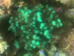 IMG_3412.jpeg