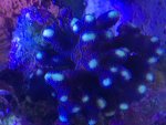 IMG_3405.jpeg