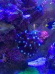 IMG_3406.jpeg
