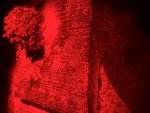 IMG_0801.jpeg