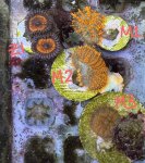 IMG_1871.jpeg