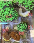 IMG_1872.jpeg