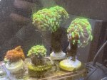 IMG_0806.jpeg