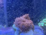 IMG_0807.jpeg IMG_0807.jpeg