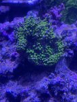 thumbnail_IMG_1917.jpg