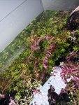 IMG_6358.jpeg