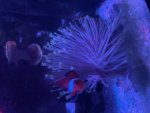 IMG_8610.jpeg