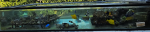 Screenshot 2025-07-16 023843.png