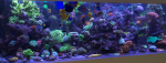 Screenshot 2025-07-16 024638.png