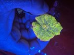 IMG_1546.jpeg