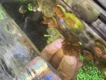 IMG_0831.jpeg