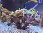 IMG_1291.jpeg