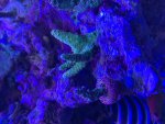 IMG_1654.jpeg