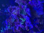 IMG_1653.jpeg