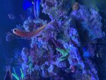 IMG_1660.jpeg