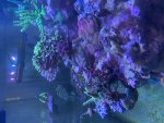 IMG_1659.jpeg