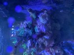 IMG_1658.jpeg