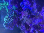 IMG_1656.jpeg
