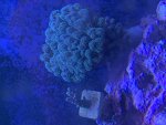 IMG_1663.jpeg